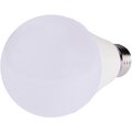 88297789-bellight-(2)