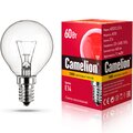 8972-camelion