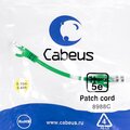8988c-cabeus