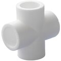 9000002525-politek