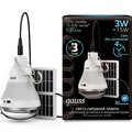 902102203-gauss2