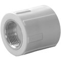 9100003201-politek