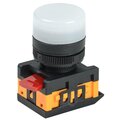 BLS30-ALTE-K01_1