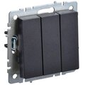 BR-V30-0-10-K02_1