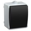 EVS10-K03-10-54-DC_1