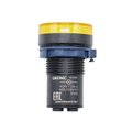 M22L-F220YPP_2