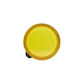 M22L-F24YPP_3