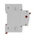 MSD-2P100_4