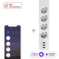 RCE-2-WF_4