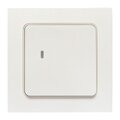 RCV-ST1-WS-ZB_1