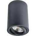 a1560pl-1bk-arte-lamp