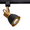 a1677pl-1go-arte-lamp