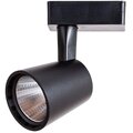 a2315pl-1bk-arte-lamp