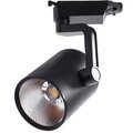 a2330pl-1bk-arte-lamp