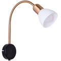 a3116ap-1bk-arte-lamp