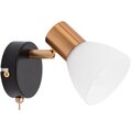 a3117ap-1bk-arte-lamp