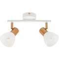 a3117pl-2wh-arte-lamp