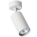 a3216pl-1gy-arte-lamp