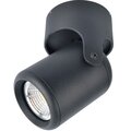 a3316pl-1bk-arte-lamp