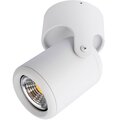 a3316pl-1wh-arte-lamp