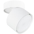a5549pl-1wh-arte-lamp