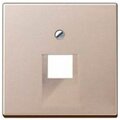 a569-1pluach-jung