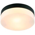 a6047pl-2bk-arte-lamp