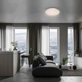 abovo_29785_8