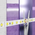 abovo_45ea5ec0-bfc1-46ff-b76c-131398c280b9_009standard_element_10150_w_standard