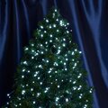 abovo_48177