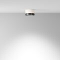 abovo_58788333-8775-4169-b16e-34b53df6408f_027standard_render_additional_perspective_c086cl-gx53-srd-wb_standard_(1)