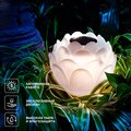 abovo_b_602-2431