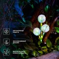 abovo_b_602-2433