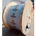 abovo_magna_baraban
