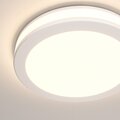 abovo_render_cmyk_dl2001-l12w_w_standard