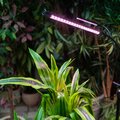 abovo_ul-00008905_ult-p32-36w_sple_tm_40_ip40_black_quad_int01