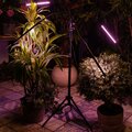 abovo_ul-00008905_ult-p32-36w_sple_tm_40_ip40_black_quad_int03