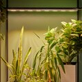 abovo_ul-00011265int1