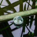 abovo_ul-00011597int2