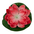 abovo_ul-00011599-1