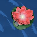 abovo_ul-00011599-5