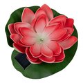 abovo_ul-00011599