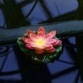 abovo_ul-00011599int