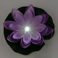 abovo_ul-00011601-2