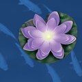 abovo_ul-00011601-3