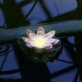 abovo_ul-00011601int