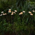 abovo_ul-00011677int