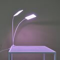 abovo_ul-00011829int1