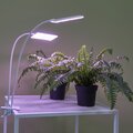 abovo_ul-00011829int4