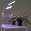 abovo_ul-00011829int5